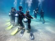 PADI OPEN WATER COURSE PACKAGE (4D/3N Beginner Course)