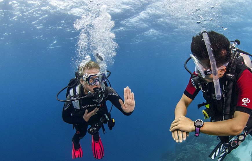 (3D2N) LEISURE DIVING PACKAGES (FOR CERTIFIED DIVERS ONLY)