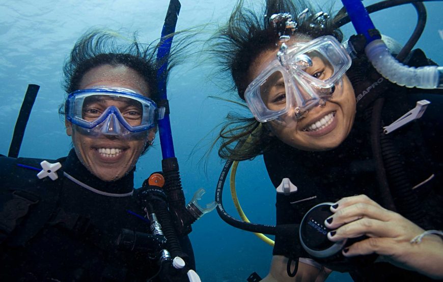 (3D2N) LEISURE DIVING PACKAGES (FOR CERTIFIED DIVERS ONLY)