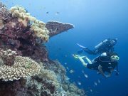 PADI ADVANCE OPEN WATER COURSE PACKAGE (3D/2N Advance Course)