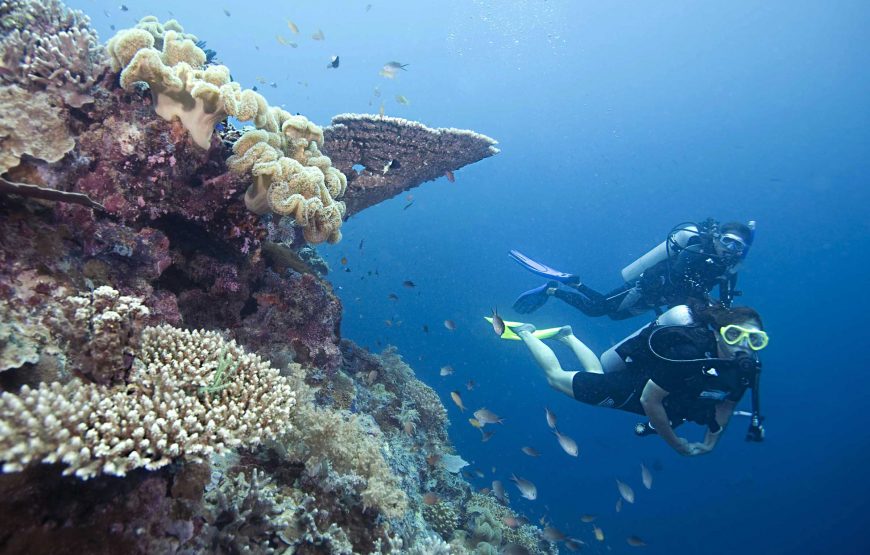 (3D2N) LEISURE DIVING PACKAGES (FOR CERTIFIED DIVERS ONLY)
