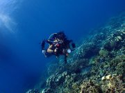 (4D3N) LEISURE DIVING PACKAGES (FOR CERTIFIED DIVERS ONLY)