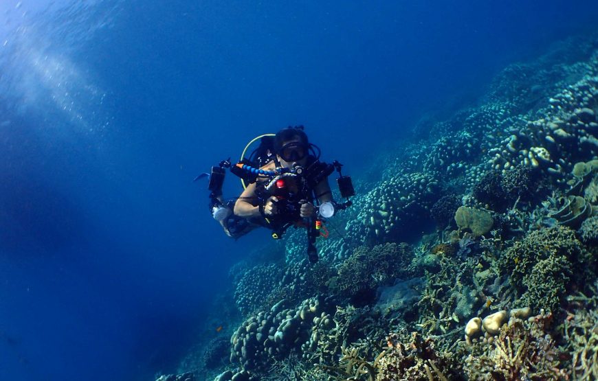(3D2N) LEISURE DIVING PACKAGES (FOR CERTIFIED DIVERS ONLY)