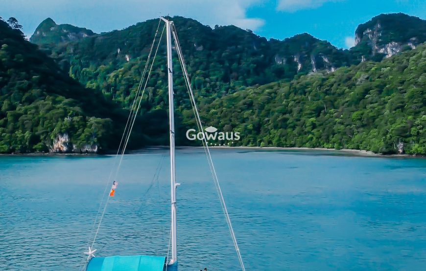 Private Day Cruise (50 ft Catamaran)