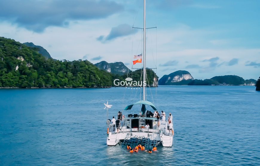 Private Day Cruise (50 ft Catamaran)